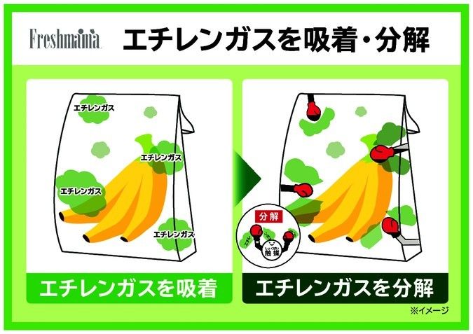 フレッシュママ　 Freshmama ・野菜 果物 青果 生花 食品 保存袋 