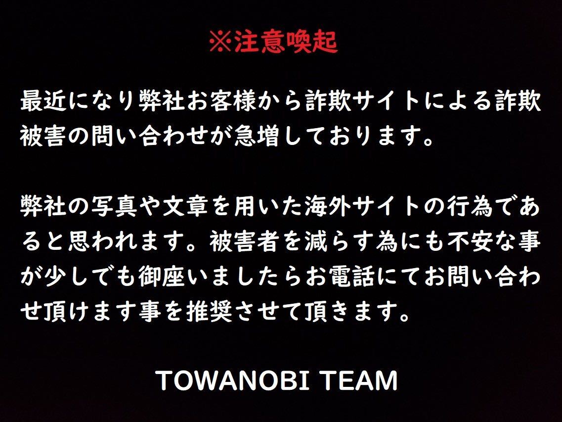 【 E318 】 美しき超別格品　明治期幻の京薩摩　京都陶磁器合資会社製　超細密画美人垂れ藤野鳥文大きな香合　W10.8cm　超美品_画像6