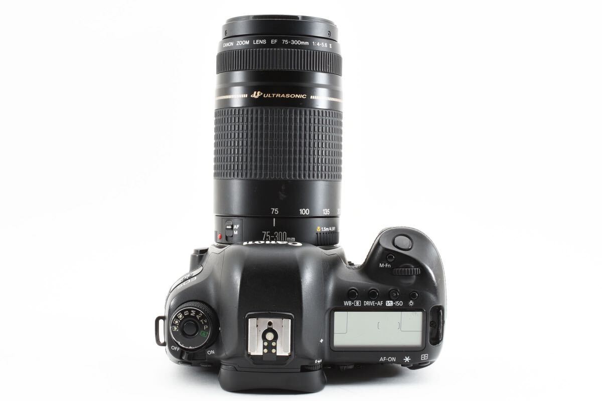 Canon EOS 5D Mark IV標準&望遠&単焦点トリプルレンズセット/Canon EF 50㎜1:1.8 II/EF28-80㎜1:3.5-5.6 IV/CANON EF 75-300㎜ F4-5.6 II_画像7