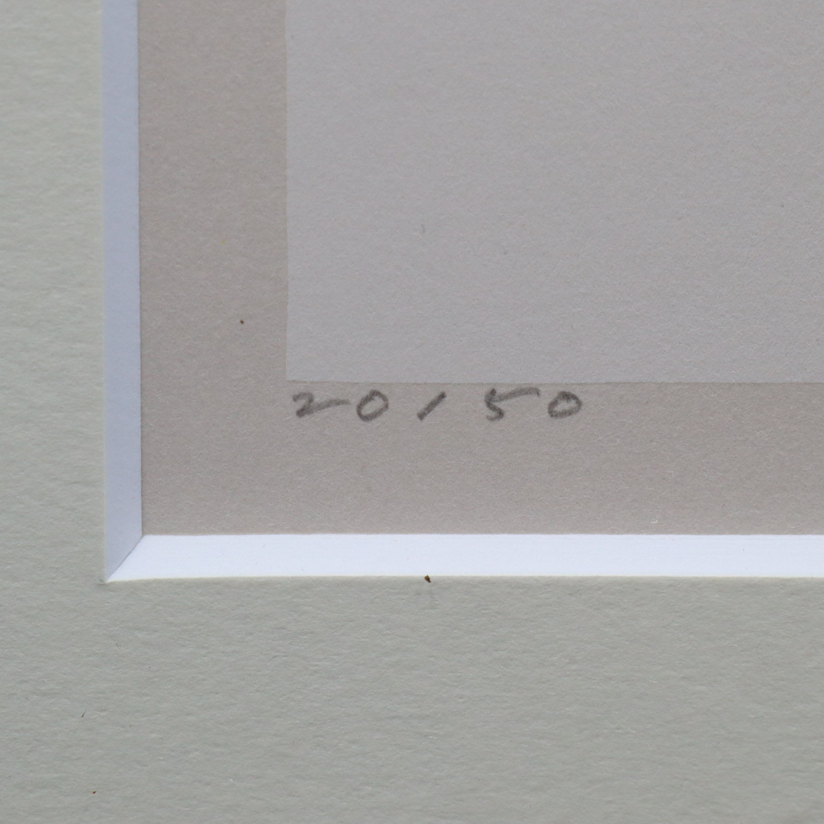 [.] genuine work guarantee Noda ..[ fossil. exist still life ] lithograph 20/50 autograph have frame .book@ Saburou memory .* Hokkaido culture . winning warehouse : adding art gallery C4D53.k.E