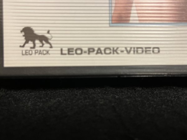 VHS●浅見美那『熱い誘惑』●LEO PACK VIDEO●ビデオ_画像2