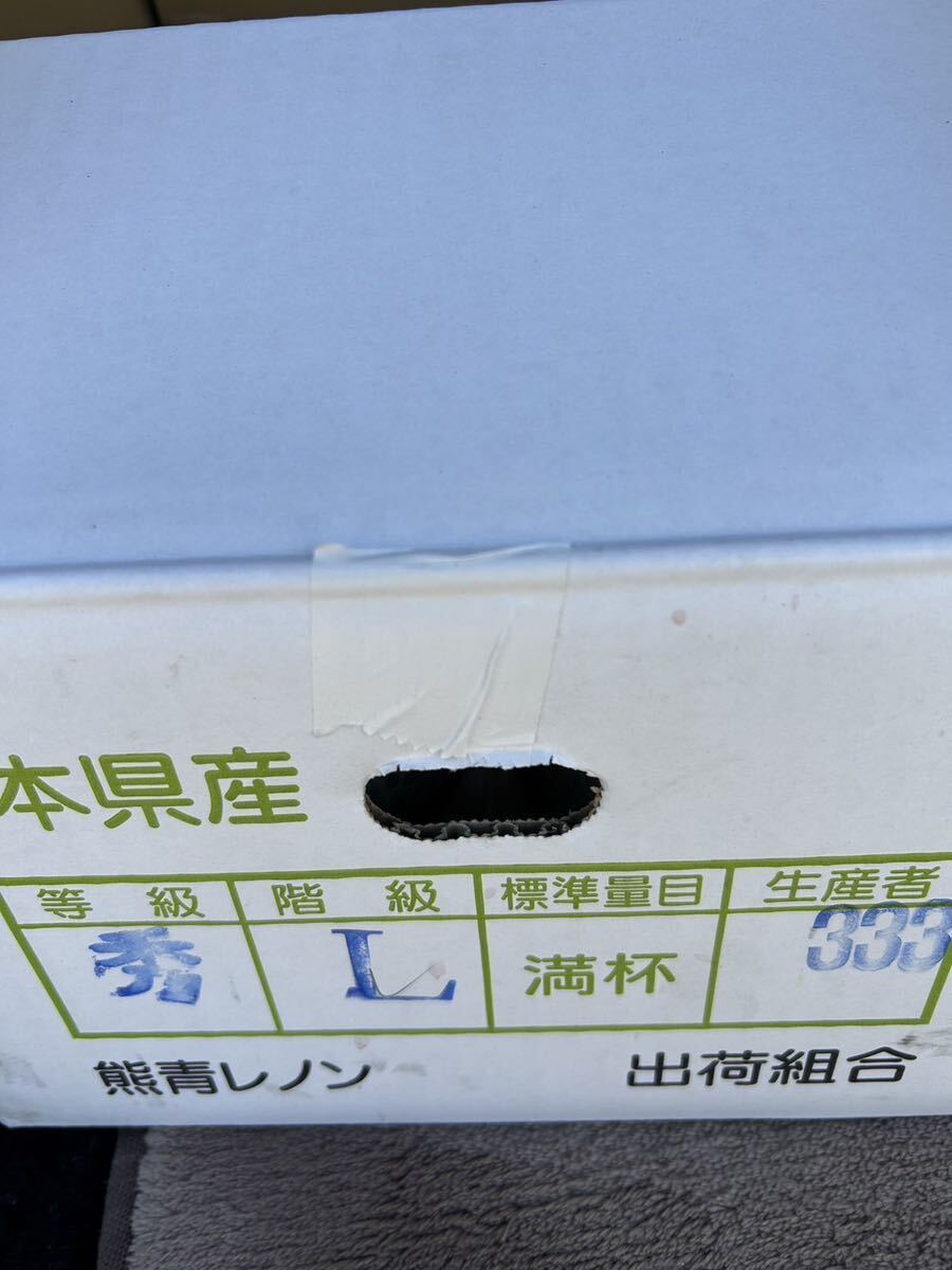 送料込み 参考糖度17度 熊本産 レノンメロン L 6玉 5/19発送予定 家庭用 箱込5キロ_画像8