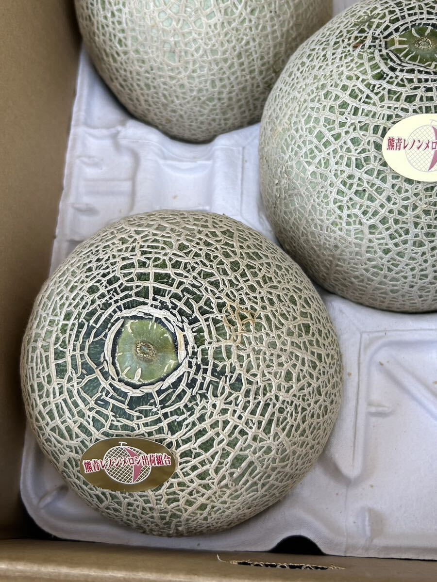  postage included reference sugar times 17 times Kumamoto production Lennon melon 4L 3 sphere 5/22 shipping expectation home use box included 5 kilo 
