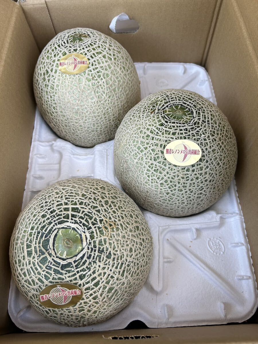  postage included reference sugar times 17 times Kumamoto production Lennon melon 4L 3 sphere 5/23 shipping expectation home use box included 5 kilo 