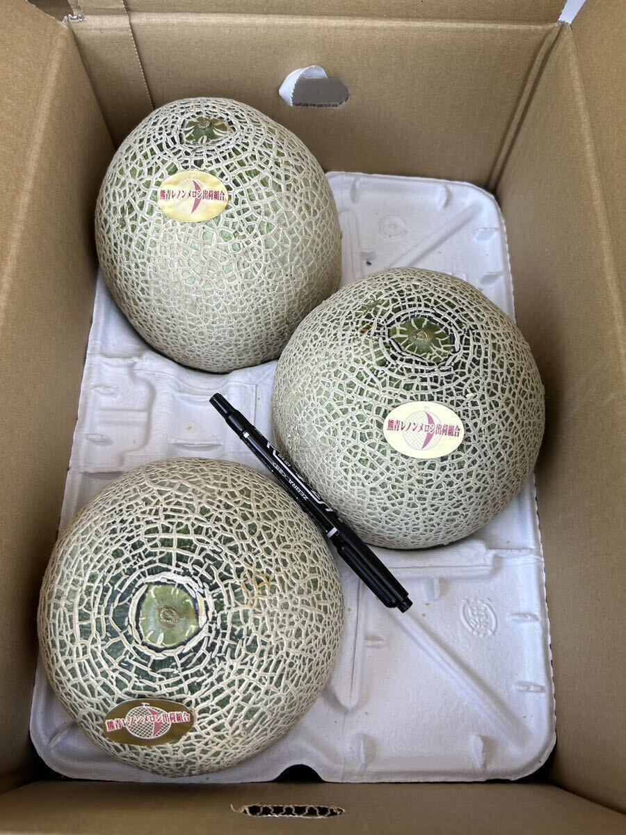  postage included reference sugar times 17 times Kumamoto production Lennon melon 4L 3 sphere 5/23 shipping expectation home use box included 5 kilo 