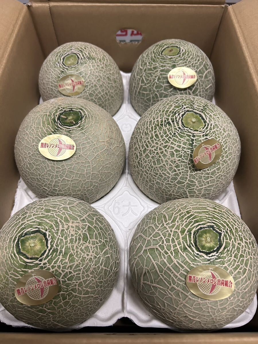  postage included reference sugar times 17 times Kumamoto production Lennon melon LA 6 sphere 5/22 shipping expectation home use box included 6 kilo 