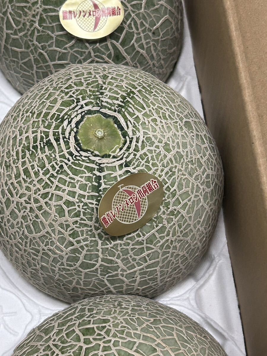 postage included reference sugar times 17 times Kumamoto production Lennon melon LA 6 sphere 5/22 shipping expectation home use box included 6 kilo 