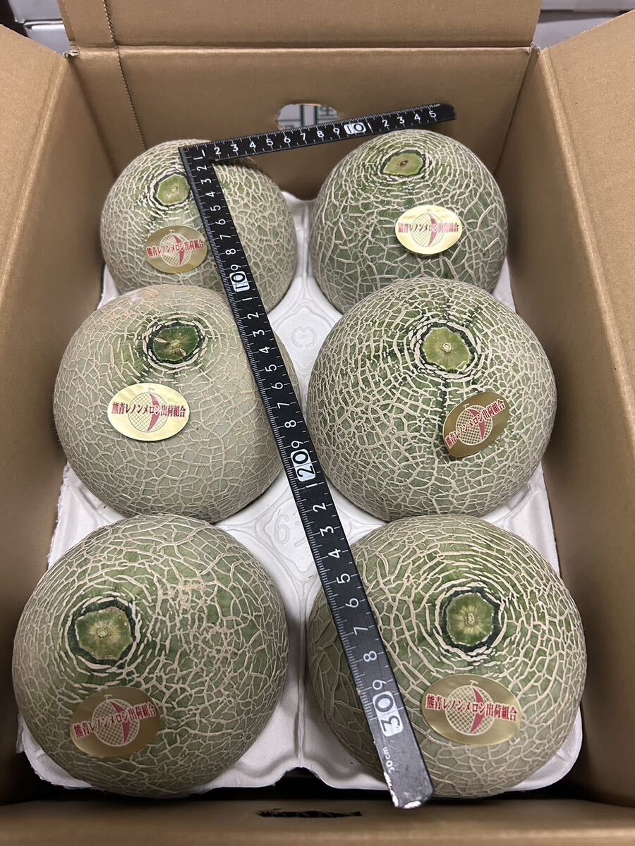  postage included reference sugar times 17 times Kumamoto production Lennon melon LA 6 sphere 5/22 shipping expectation home use box included 6 kilo 