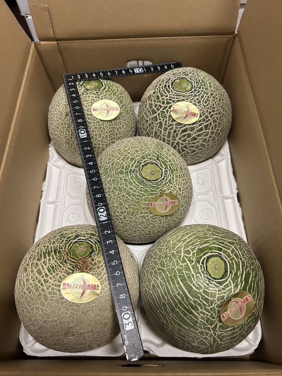  postage included reference sugar times 17 times Kumamoto production Lennon melon 2L 5 sphere 5/23 shipping expectation home use box included 6 kilo 