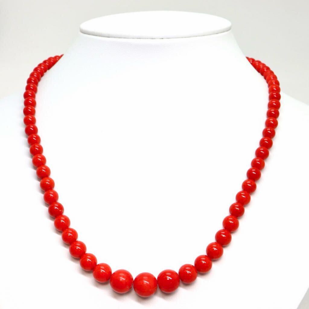 《天然本珊瑚ネックレス》M 約36.0g 約51cm 約5.7-10.8mm珠 サンゴ coral コーラル necklace ジュエリー jewelry ED0/ED0_画像2