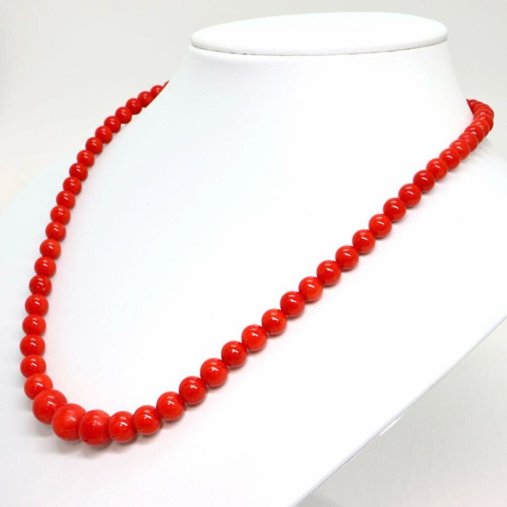 《天然本珊瑚ネックレス》M 約36.0g 約51cm 約5.7-10.8mm珠 サンゴ coral コーラル necklace ジュエリー jewelry ED0/ED0_画像3