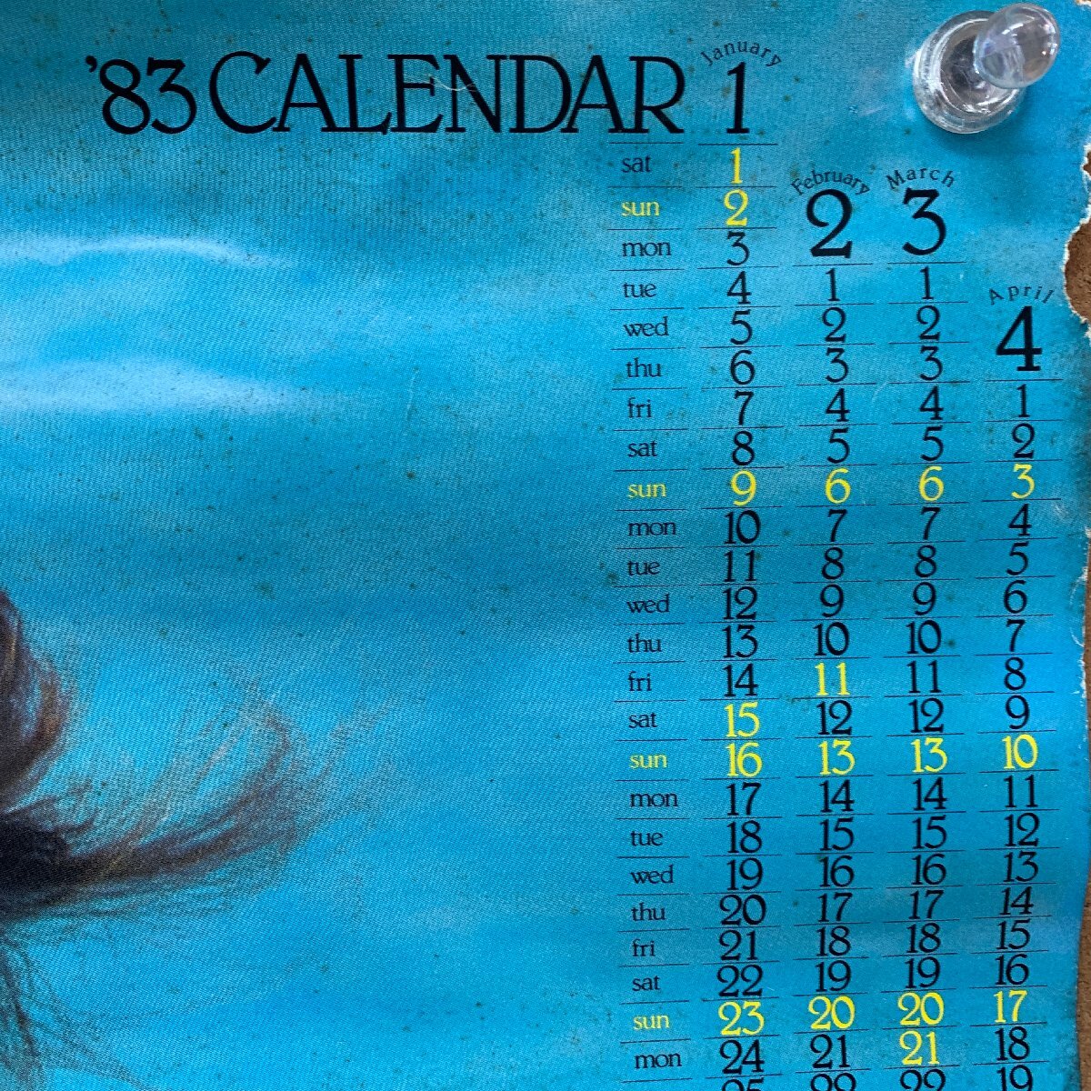 【B1カレンダー】キャティ 83CALENDAR 水着 ビキニ 販促用 LAOX NEBA ＜102×72.5cm＞☆_画像4