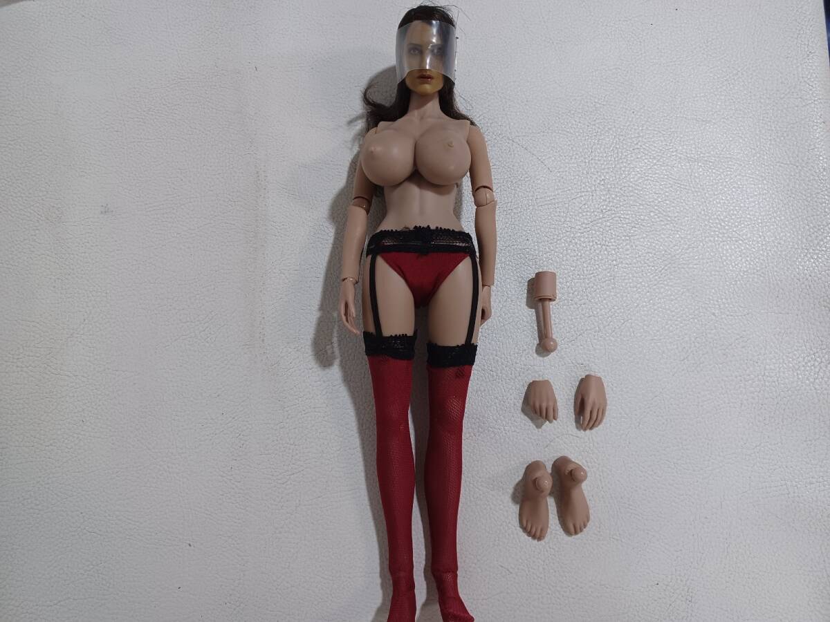クールガール 褐色 赤 ガーターベルト タイツ パンティ 1/6 女性フィギュア ヘッドパーツ 素体 の画像1