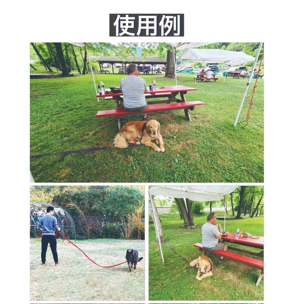 ロングリード 20ｍ  ドッグ 犬 猫 ペット 散歩 トレーニング 青　レッド