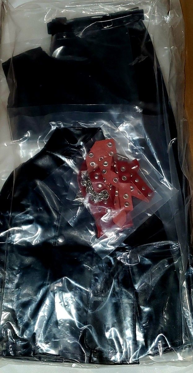 スーパードルフィー VOLKS ボークス 東京少年物語 南条勲 正規品 スーパードルフィー VOLKS ボークス 東京少年物語 南条勲 正規品