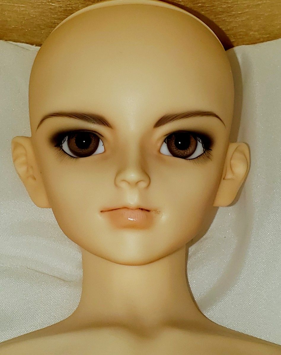 スーパードルフィー VOLKS ボークス 東京少年物語 南条勲 正規品 スーパードルフィー VOLKS ボークス 東京少年物語 南条勲 正規品