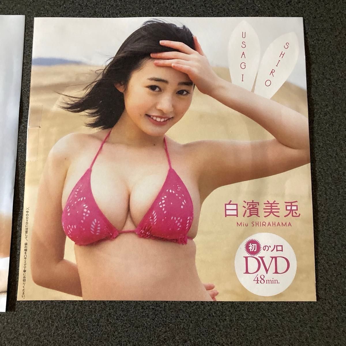 豊島心桜 菊地姫奈 白濱美兎 横野すみれ DVD 付録 週刊プレイボーイ 週刊FRIDAY フライデー  水着 ビキニ