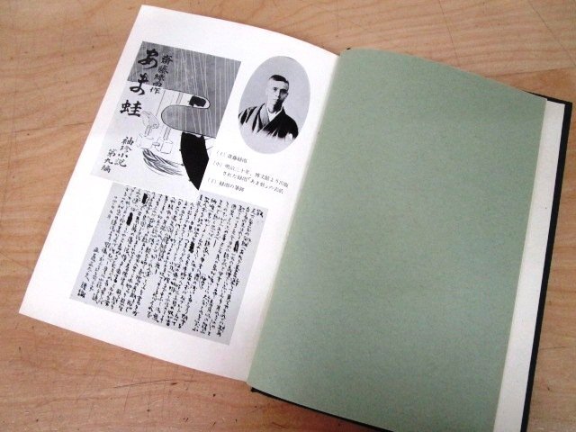 *F5 publication [ Meiji. writing person ] hill . other house Hara work Showa era 38 year snow . company . attaching literary art / literature /. wistaria green rain / blue ./ Izumi Kyoka / Nagai Kafu / Mori Ogai / Koda Rohan / Tayama Katai 