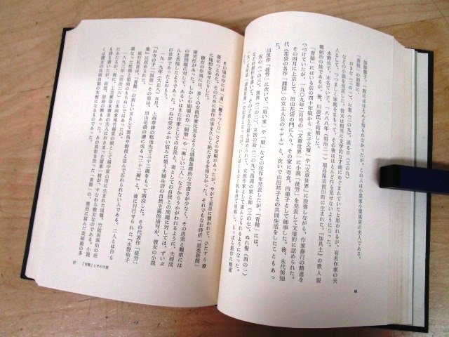 *F5 publication [ Meiji. writing person ] hill . other house Hara work Showa era 38 year snow . company . attaching literary art / literature /. wistaria green rain / blue ./ Izumi Kyoka / Nagai Kafu / Mori Ogai / Koda Rohan / Tayama Katai 