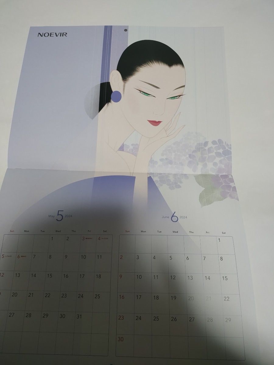 壁掛けカレンダー　2024年　カレンダー　令和6年 鶴田一郎　使用時の大きさ30×47センチ　ノエビア  暦 こよみ