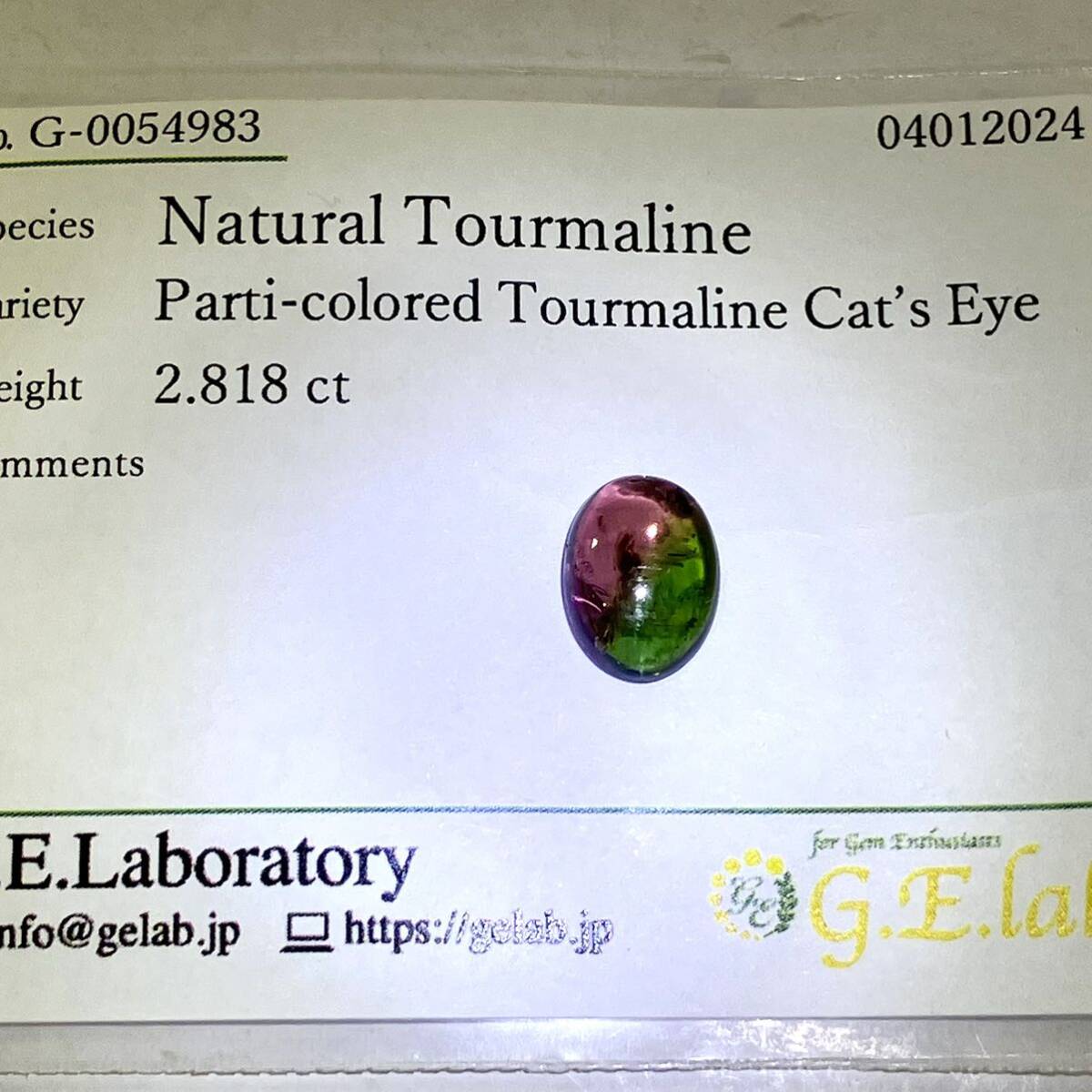 ☆天然パーティカラードトルマリンキャッツアイ2.818ct☆M約11.3×7.7mm ルース 裸石 宝石 ジュエリー jewelry tourmaline バイカラーテDG0_画像4