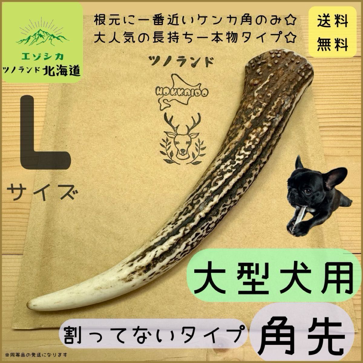 ◯鹿の角◯Lサイズ角先×1本◯犬のおもちゃ◯大型犬用◯