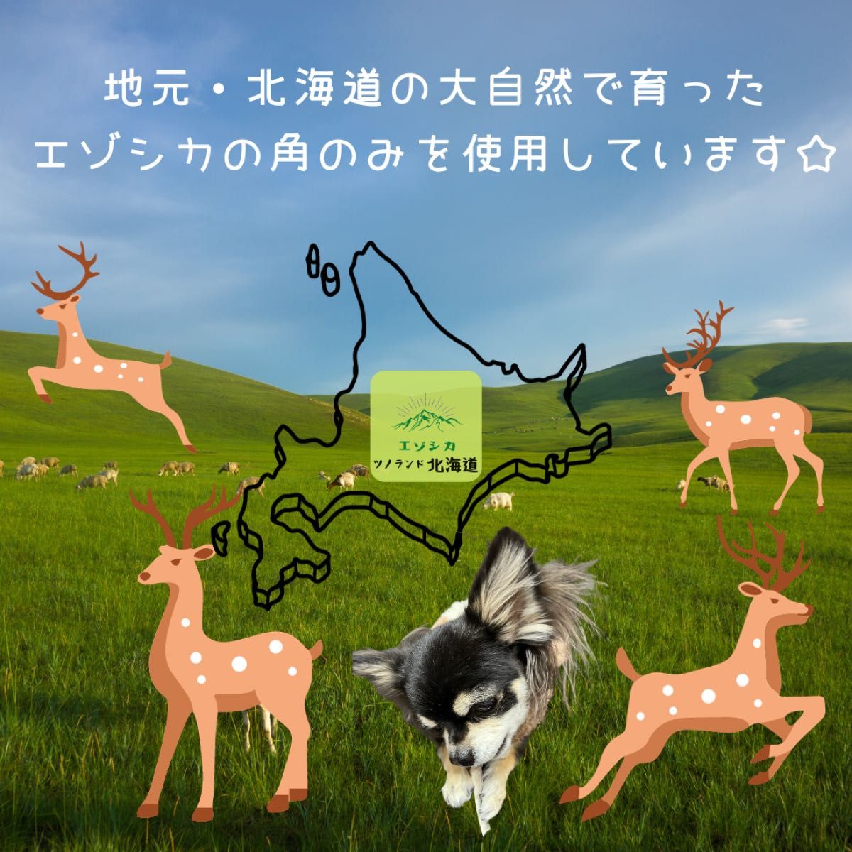 ◯鹿の角◯Lサイズ角先×1本◯犬のおもちゃ◯大型犬用◯