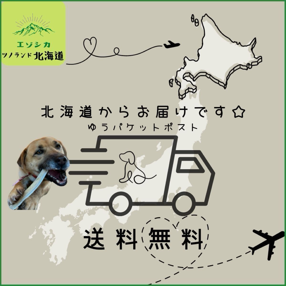 ◯鹿の角◯Lサイズ角先×2本セット◯犬のおもちゃ◯大型犬用◯