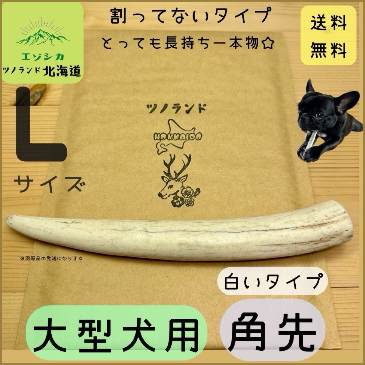 ◯鹿の角◯Lサイズ角先白×1本◯犬のおもちゃ◯大型犬用◯