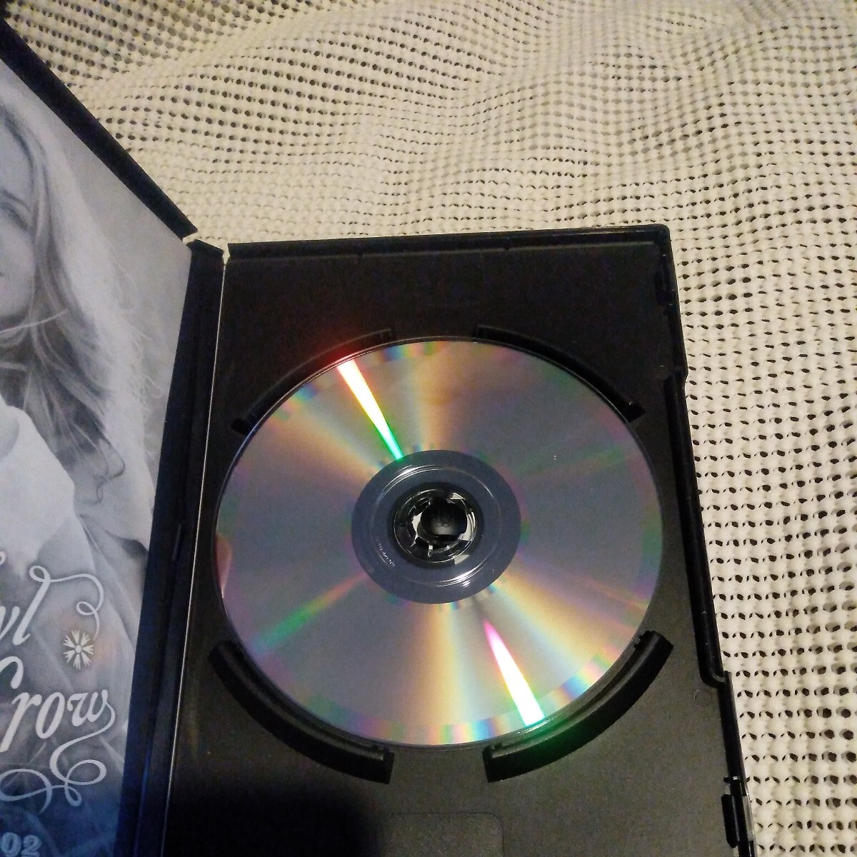 シェリル・クロウ　日本盤DVD 1993-2002ヒット曲　送料無料～