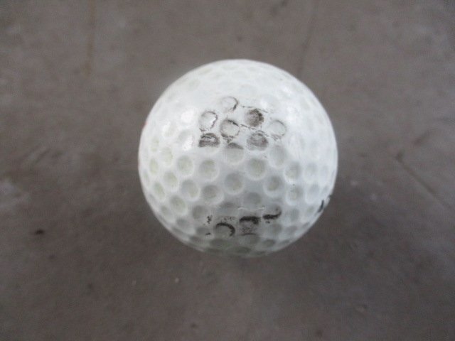 【送料無料】　中古品　SRIXON　ゴルフボール　練習用（練習場のロゴ印字入り）　公認球　計500球　へ-42_画像5