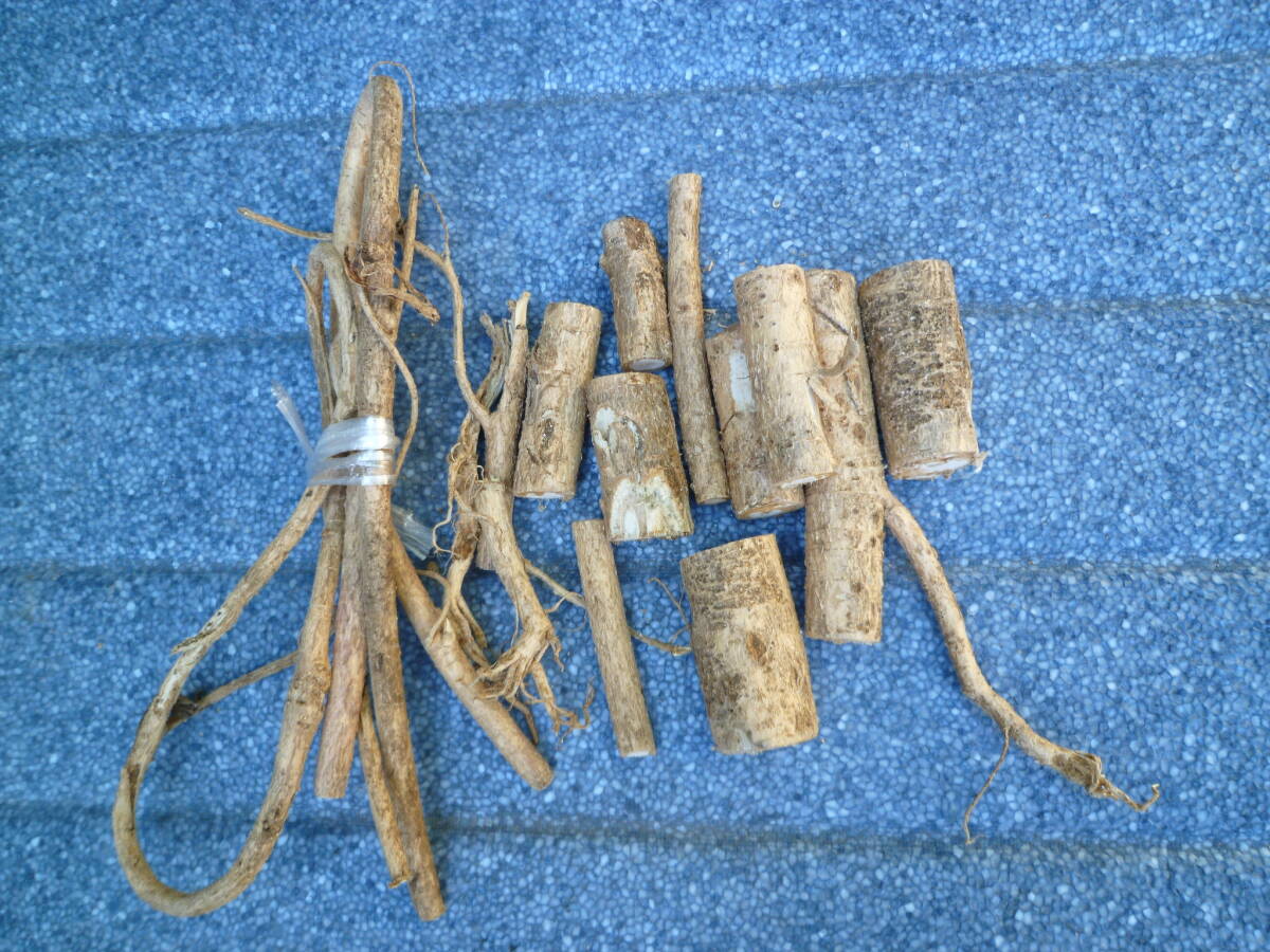 タラの木　山取りタラの根　自然完全乾燥　生薬　450ｇ　糖尿　送料込_画像1