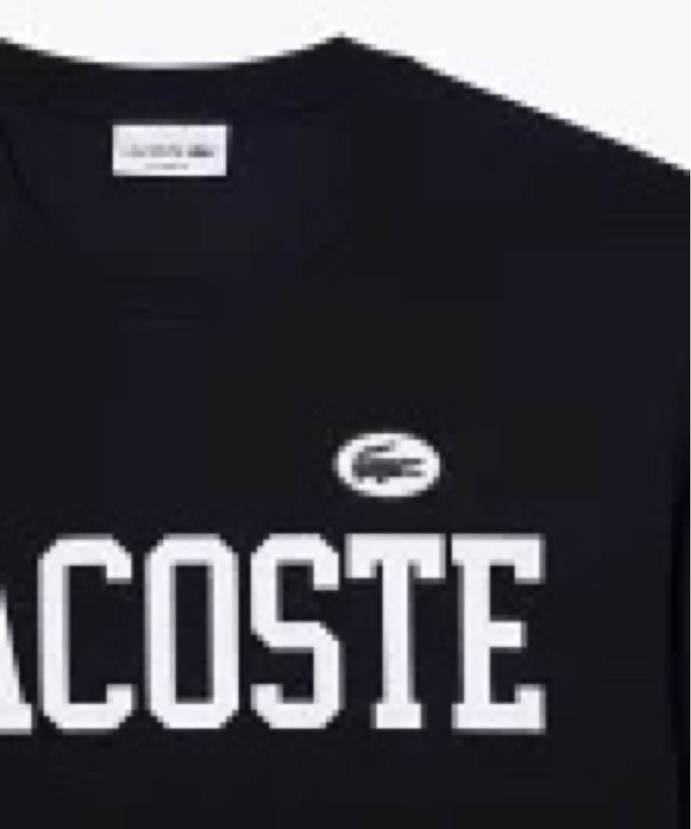 新品Lacoste カレッジプリントTシャツ半袖 M サイズ新品タグアリ