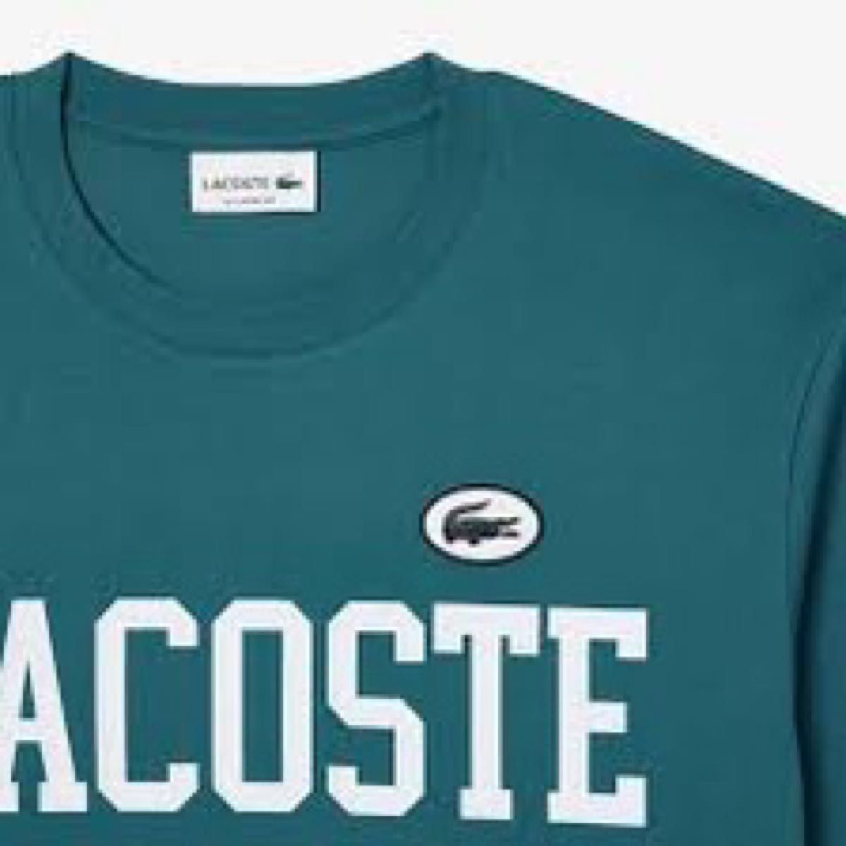 新品Lacoste カレッジプリントTシャツ半袖 XL サイズ新品タグアリ