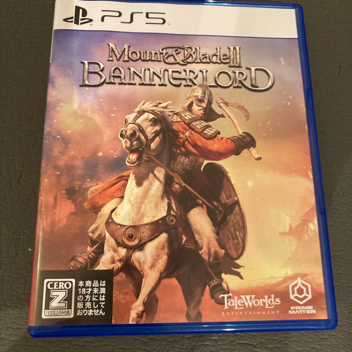 【PS5】 MOUNT ＆ BLADE II： BANNERLORD マウント　ブレイド