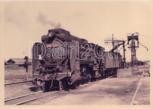 S10078【古い 鉄道 写真】蒸気機関車 D51 ◇昭和47年 ※電車 路面電車 市電 都電 蒸気機関車 SL_画像1