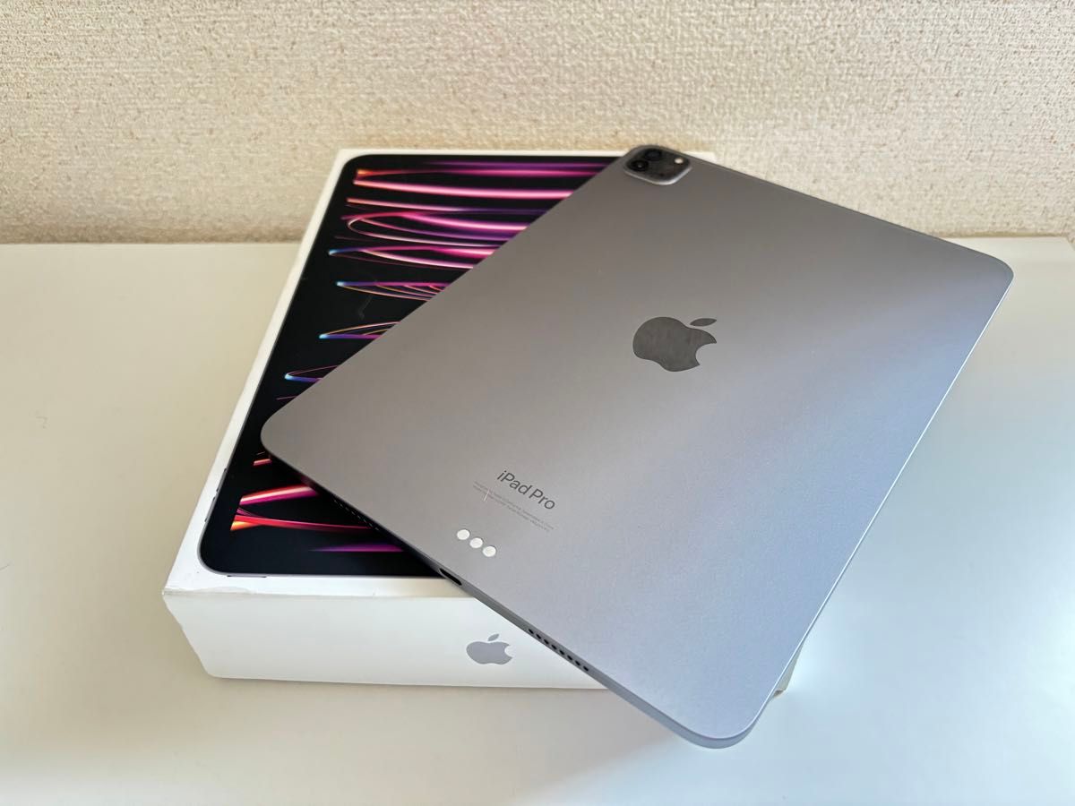 iPad Pro 11インチ 第4世代 M2 128GB Wi-Fiモデル スペースグレイ