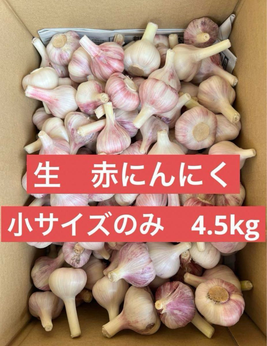 【特価】小サイズ価格　生の赤ニンニク　4.5kg 愛知県産