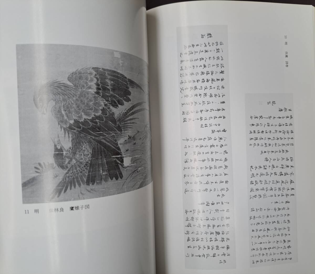 中国書画☆小如舟書屋中国書画目　小川琢治蒐集品 思文閣 中国美術_画像4