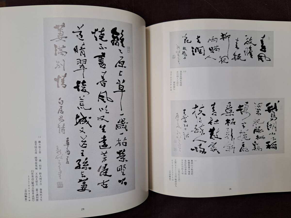 中国美術資料　費新我書展　西武　カタログ　絶版　1982年　阿倍商事　大師　水墨　近代文化　雪江堂_画像6