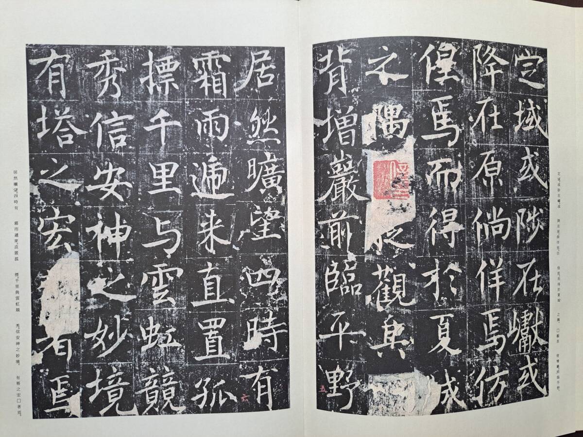売上実績NO.1 善才寺碑 43 原色法帖選 二玄社 唐 中国 三井家蔵 聴氷閣墨宝 書道