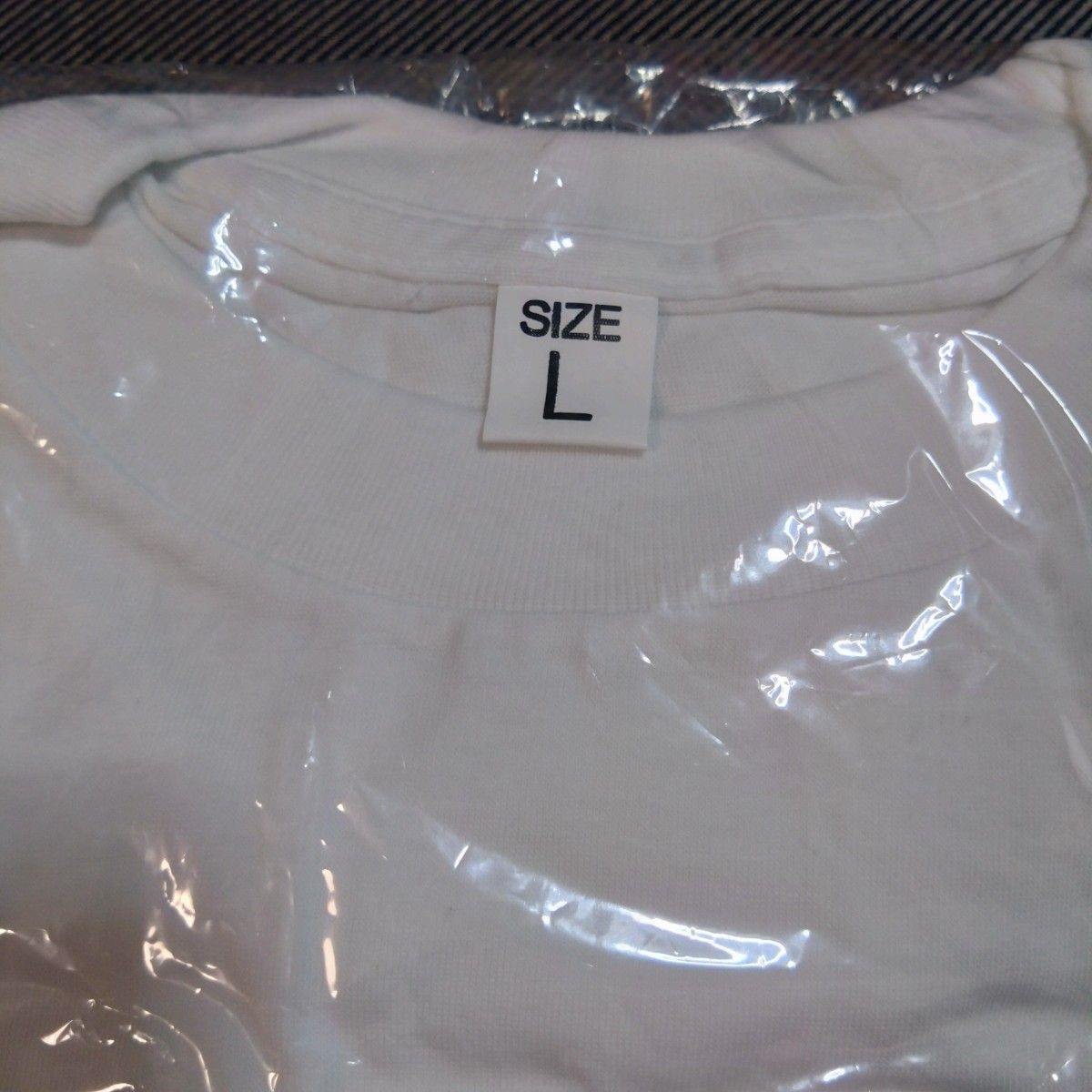 レア品　第24回山中湖ロードレース記念Tシャツ　プロレスバージョン　サイズL
