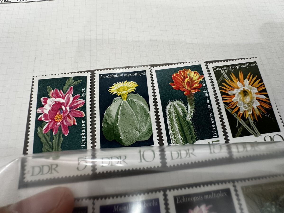 1970年 1974年東ドイツ発行 サボテンの花切手_画像2