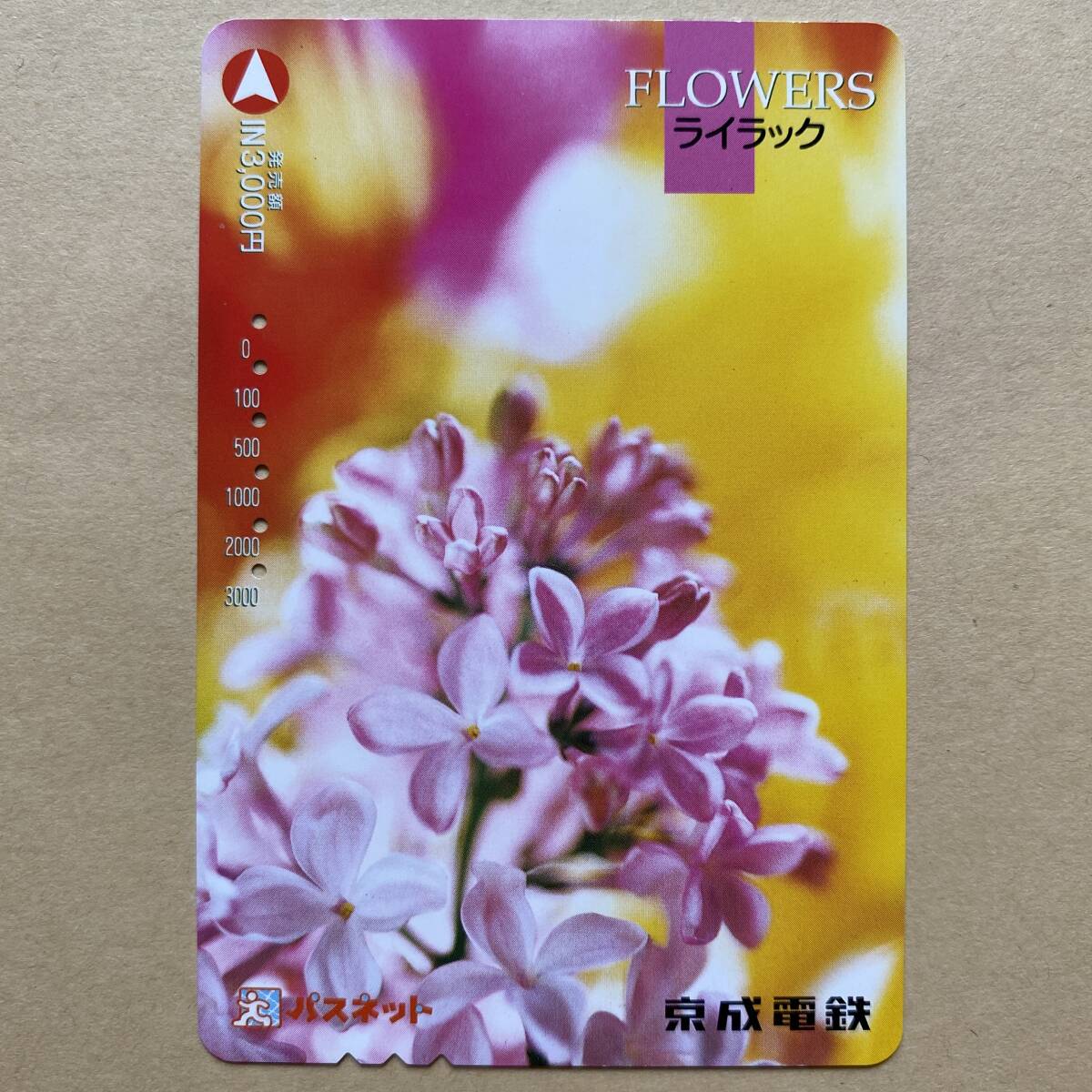 [ использованный ] цветок Pas сеть столица . электро- металлический lilac 