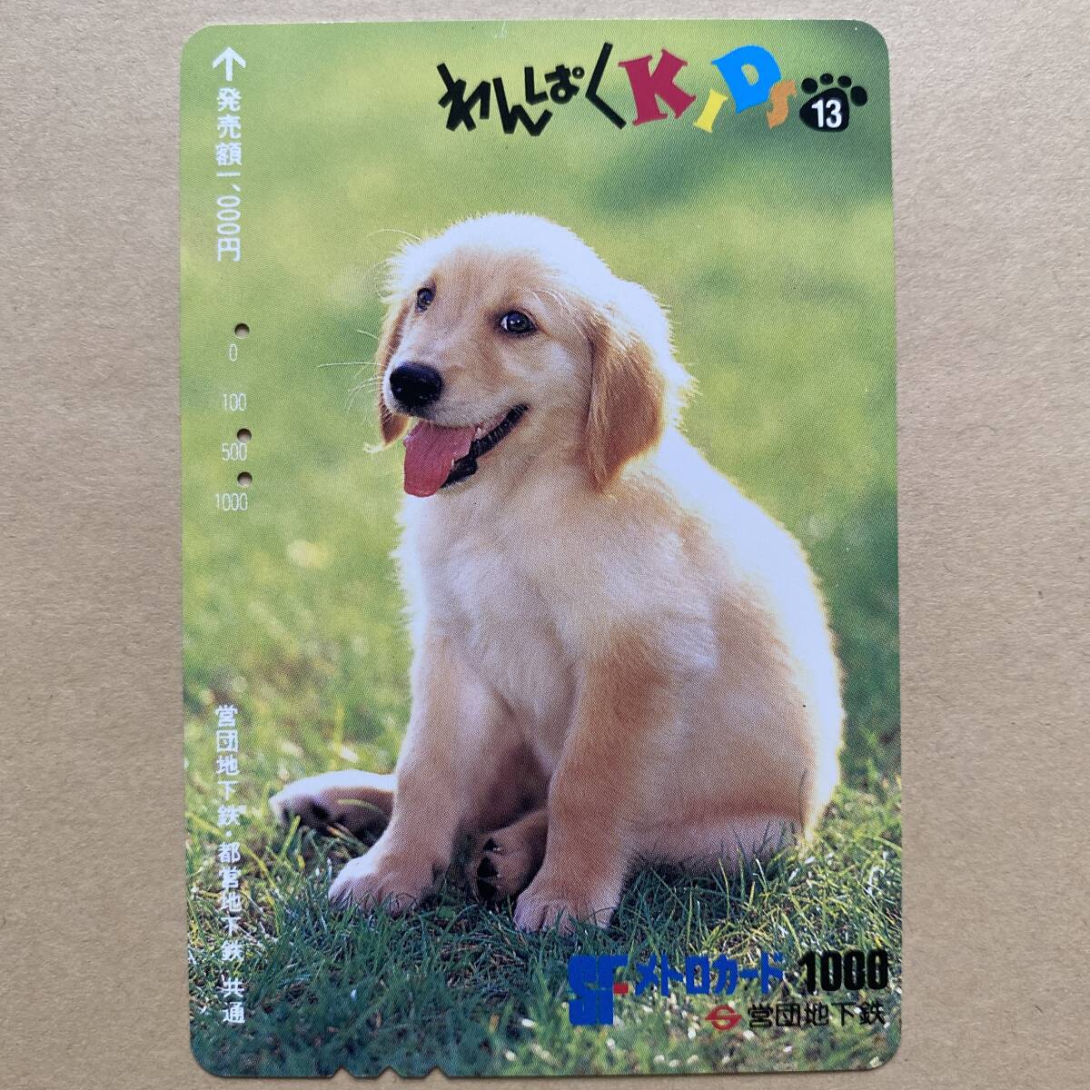 【使用済】 メトロカード 営団地下鉄 東京メトロ わんぱくKIDS13 犬_画像1