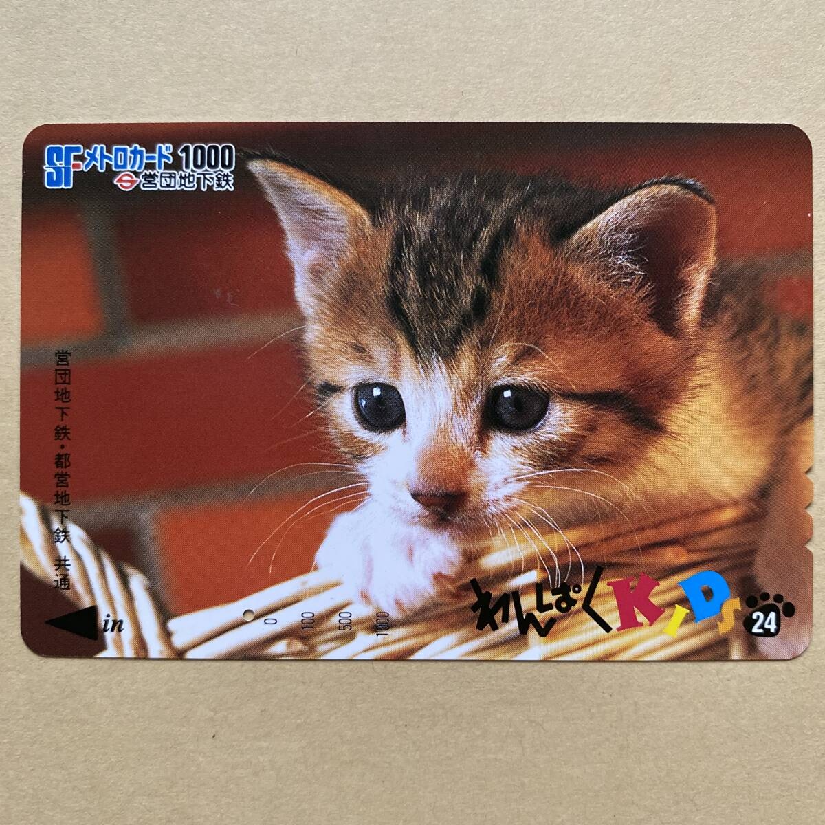 【使用済】 メトロカード 営団地下鉄 東京メトロ わんぱくKIDS24 猫_画像1