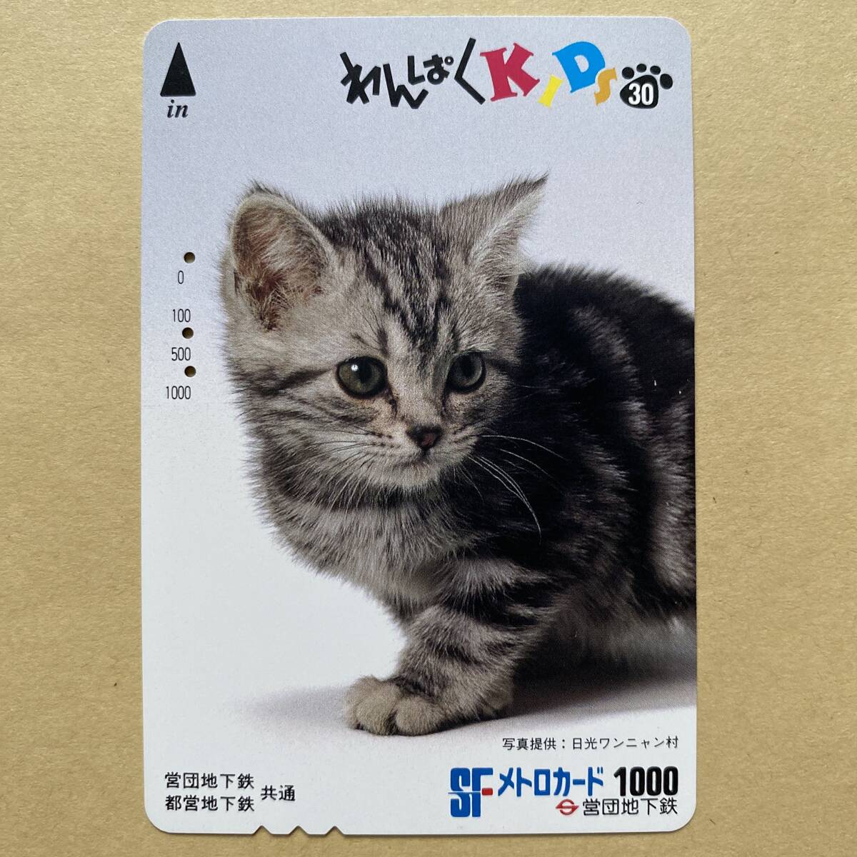 【使用済】 メトロカード 営団地下鉄 東京メトロ わんぱくKIDS30 猫_画像1