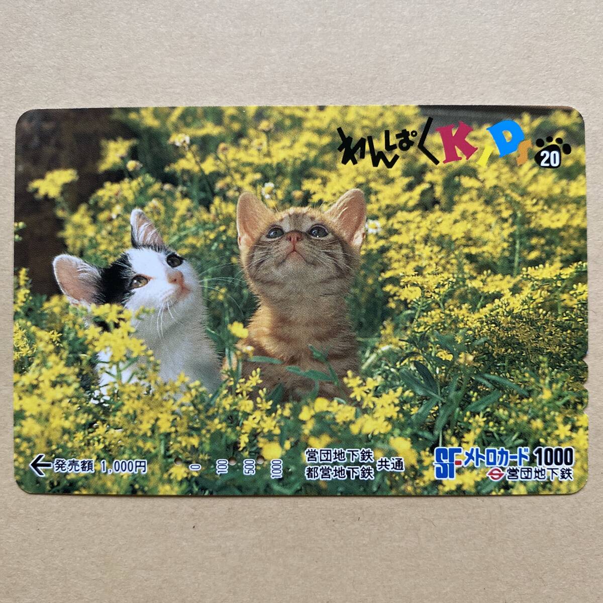 【使用済】 メトロカード 営団地下鉄 東京メトロ わんぱくKIDS20 猫_画像1