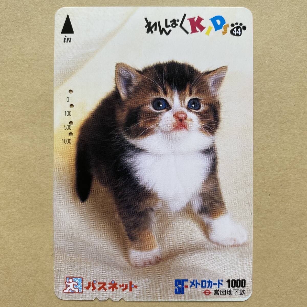 【使用済】 パスネット 営団地下鉄 東京メトロ わんぱくKIDS44 猫_画像1