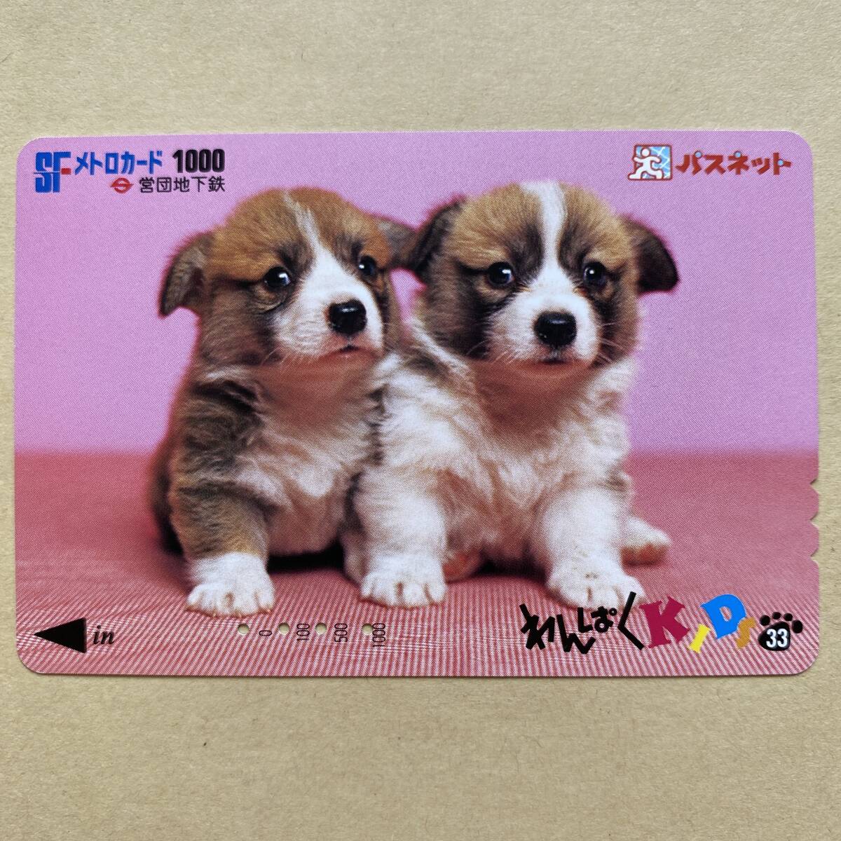 【使用済】 パスネット 営団地下鉄 東京メトロ わんぱくKIDS33 犬_画像1